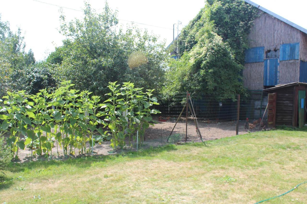 Agroturystyka Kociewiak Szteklin Luaran gambar