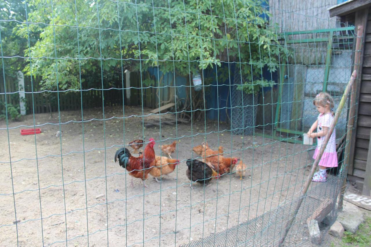 Agroturystyka Kociewiak Szteklin Luaran gambar